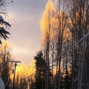 Meet your Posher, Caleb